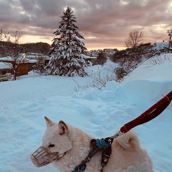 E55d0610 f656 4a22 aaa6 a4a964199266 1738543778160