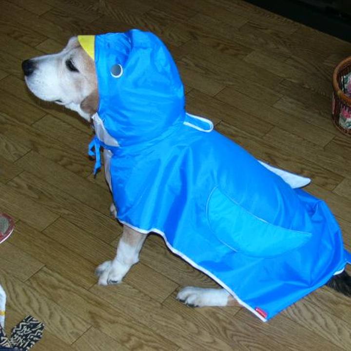 E55d7de4 3f81 4f75 8f20 d6275c273bff 1642382664109