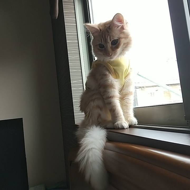 E55d8169 ffcc 44aa a032 c3d200ae6e1e 1614994658002