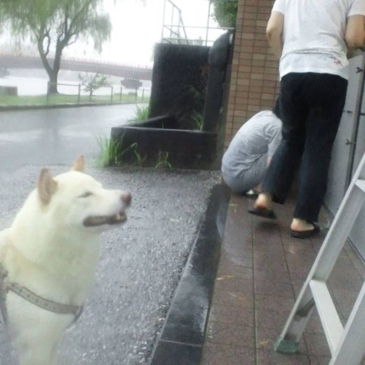 E55daa3a c07b 4dc0 9b43 79bec6b22f21 1658641217032