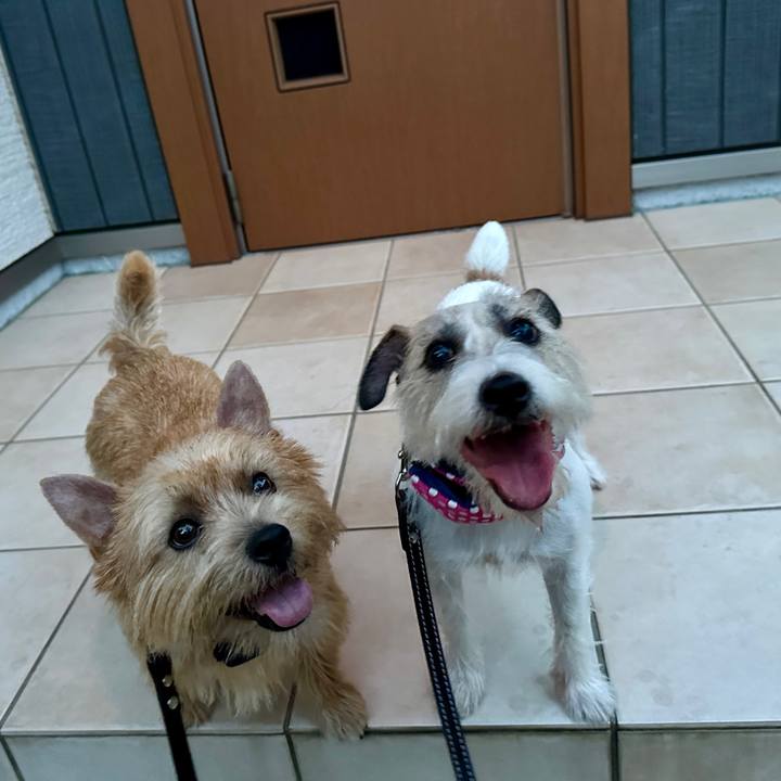 E55e1c35 5c01 4e70 b495 7188f86dcc2f 1756065842828