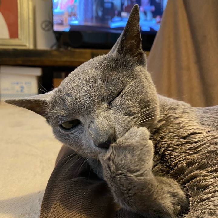 E55e6419 4e5f 4b26 a078 d8d0da357f4b 1617504527474