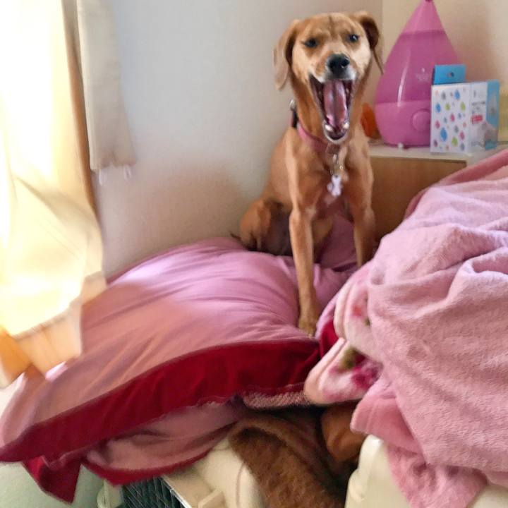 E55e6c39 436b 466a ad61 76002e78edae 1520070980009