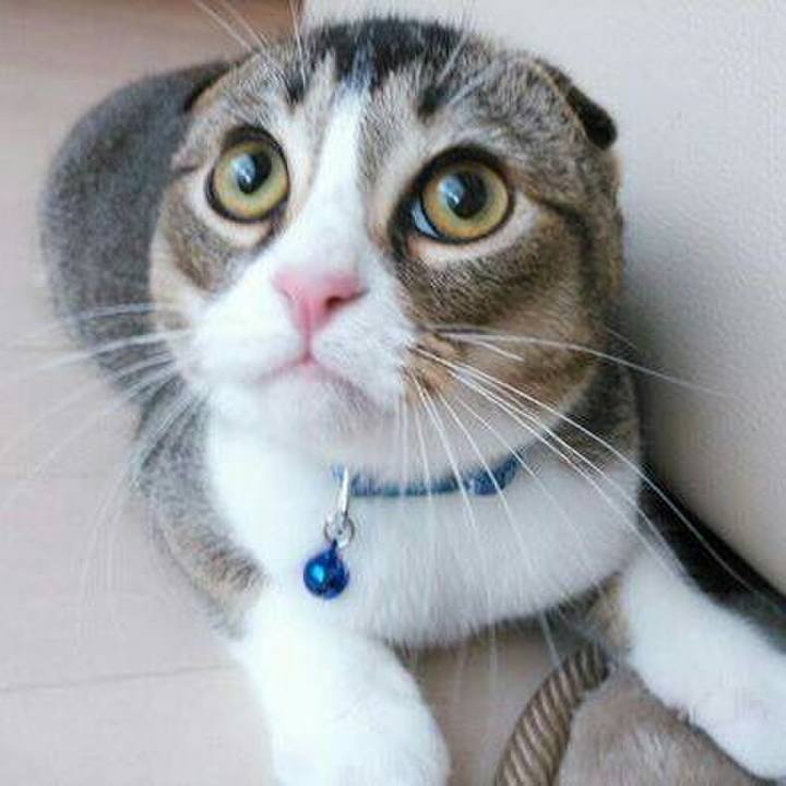 E55e7dcc 163b 48fd 9812 7eda282ffbee 1523176256201