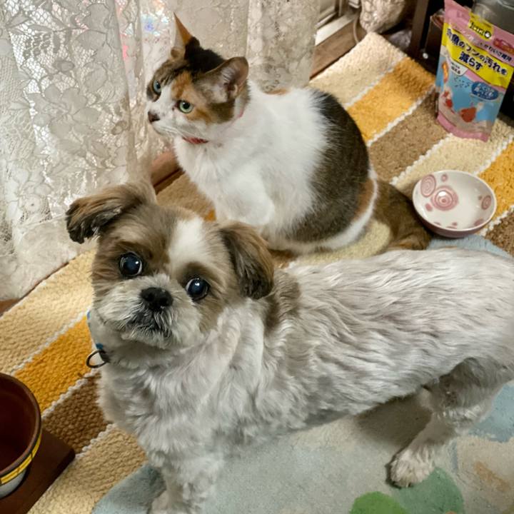 E55ea394 c677 4bae ae90 85f539e7c740 1631772477046