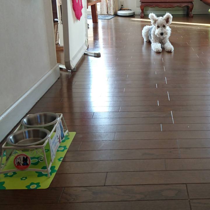 E55eb59f 1f75 4333 a5f2 0281c4c3e0c7 1518571648967