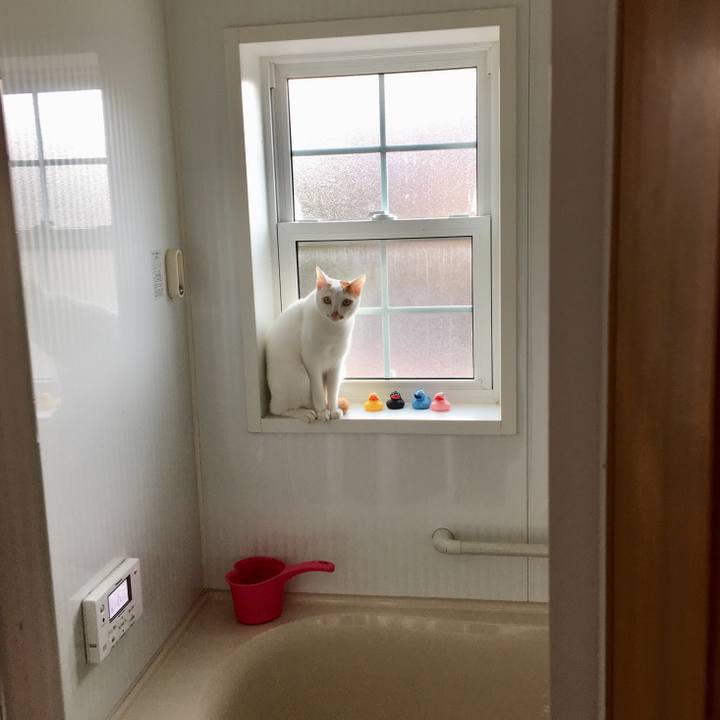 E55f5f5d c243 4a46 9171 5265c30c3314 1520755913250