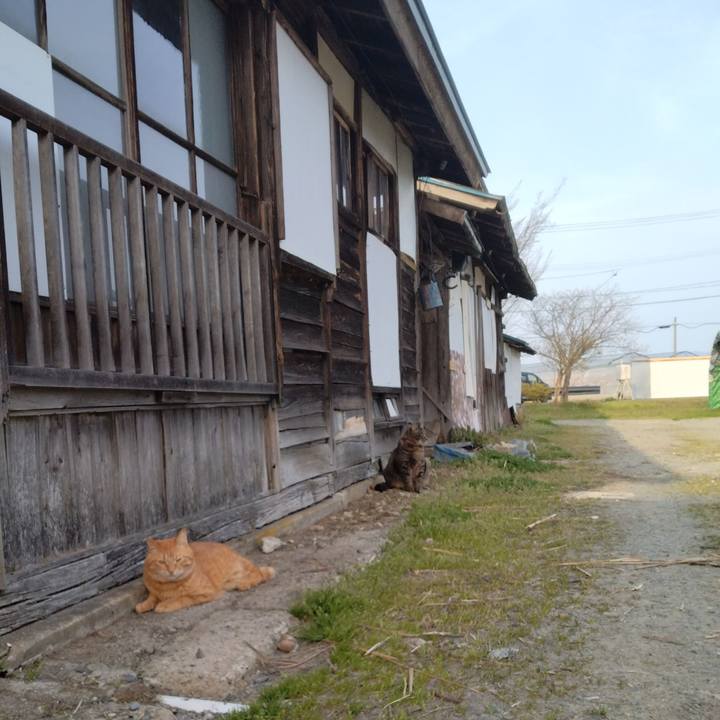 E55f9fac 6d97 4057 9cdb c208503eec18 1713085742700