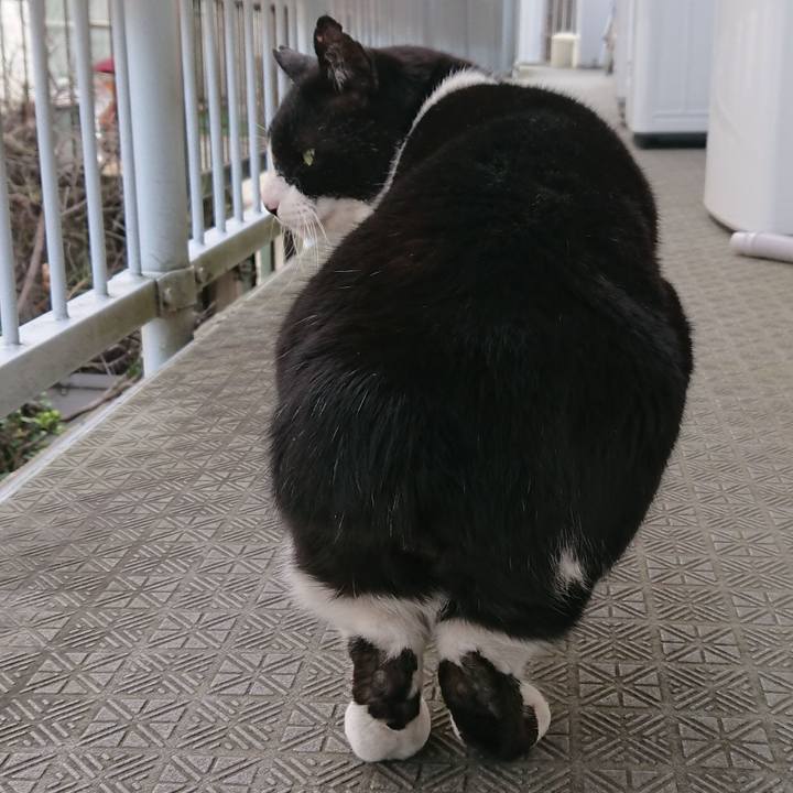 E55fcf75 dfb6 437c ab09 65ab4d01cf77 1550368126929