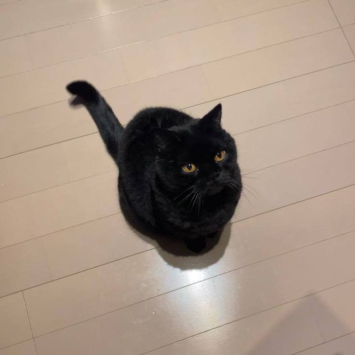 E5601f08 0960 4077 85d2 456df5433633 1763640345655