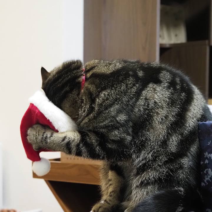 E5604b8e da08 4818 9cb7 eef0499f7d34 1640345750626