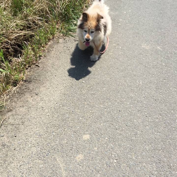 E560696b 0040 4a11 a310 524ce64f5f3b 1658892520682