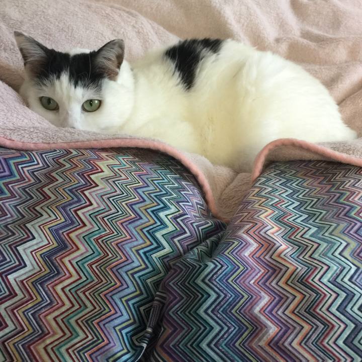 E560cdf6 1bf3 4efb b9a6 adf55f0c3c6c 1515713121442