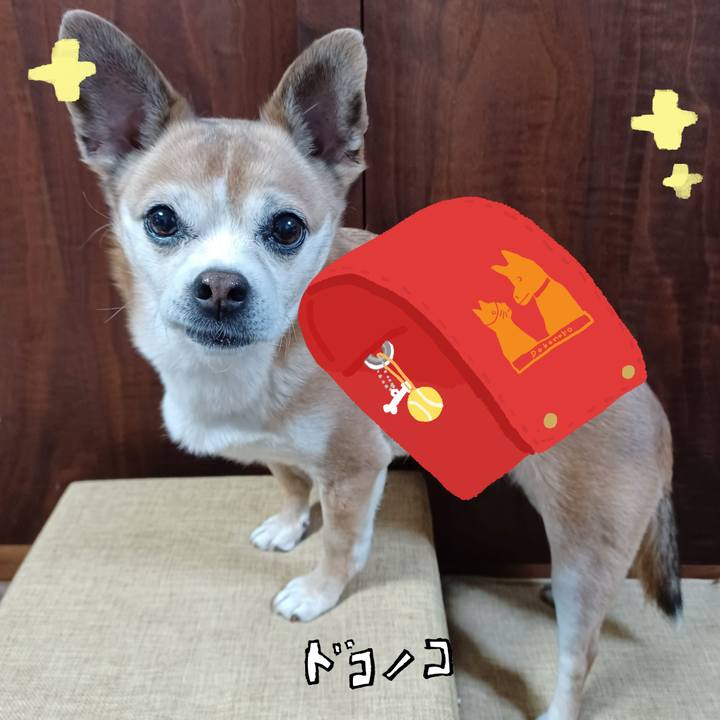 E560da58 aa89 4a26 ab12 9e4c1ae4c33d 1744637301595