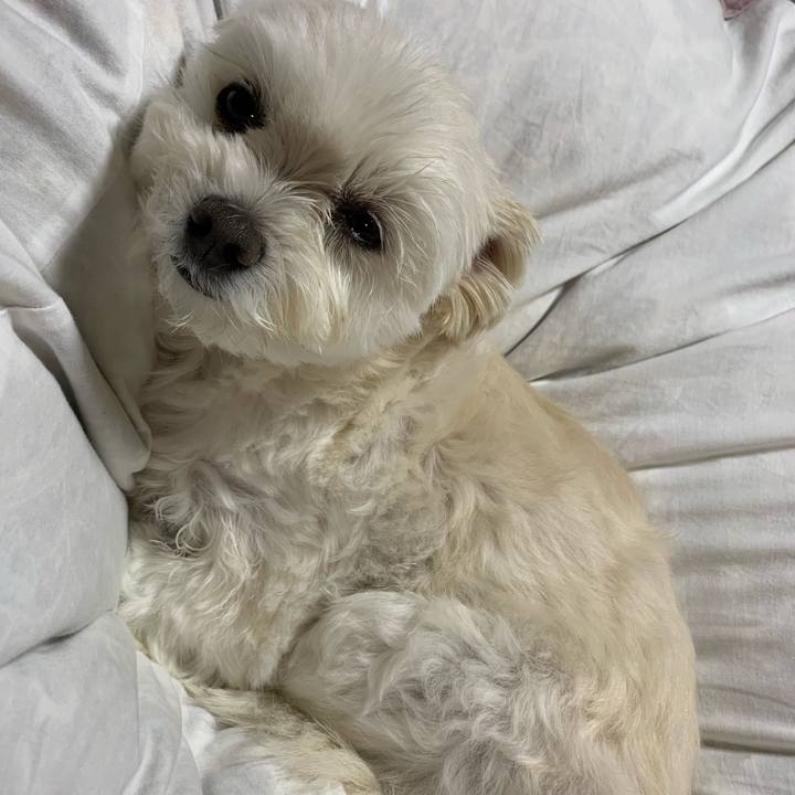 E560ff0f e76f 4aaa a3cb 34a235f6bf10 1635765321683