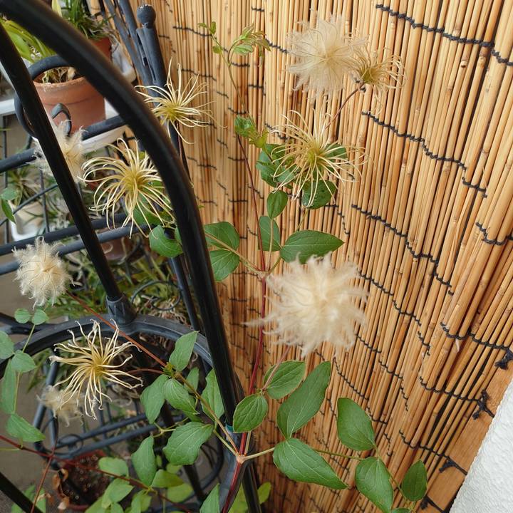 E56112b3 6669 45ed beb9 00803b86a1a7 1596843702273