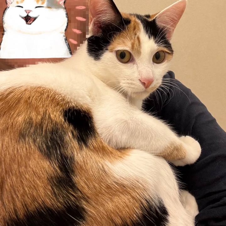 E56113e7 159d 4130 9059 82e084a02ab7 1766150651517