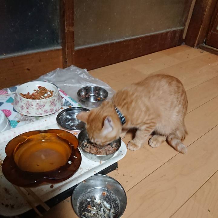 E56125ae b577 4d05 93dc d8f0bbc40456 1634638942252