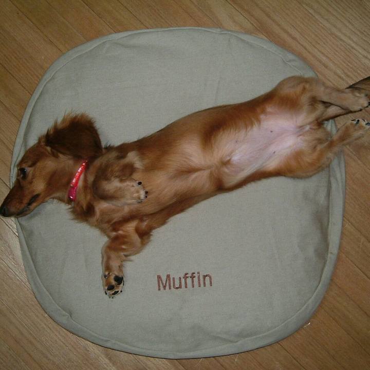 E5613590 31a4 4454 bf72 27d919276da1 1525161514040