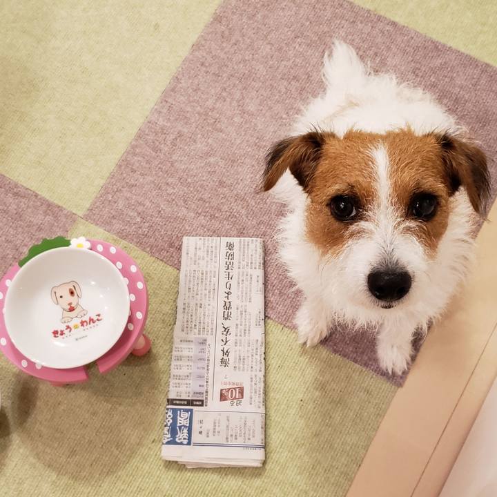 E561d1f9 8bc4 422a 964c 39ce66f067c2 1568980401630