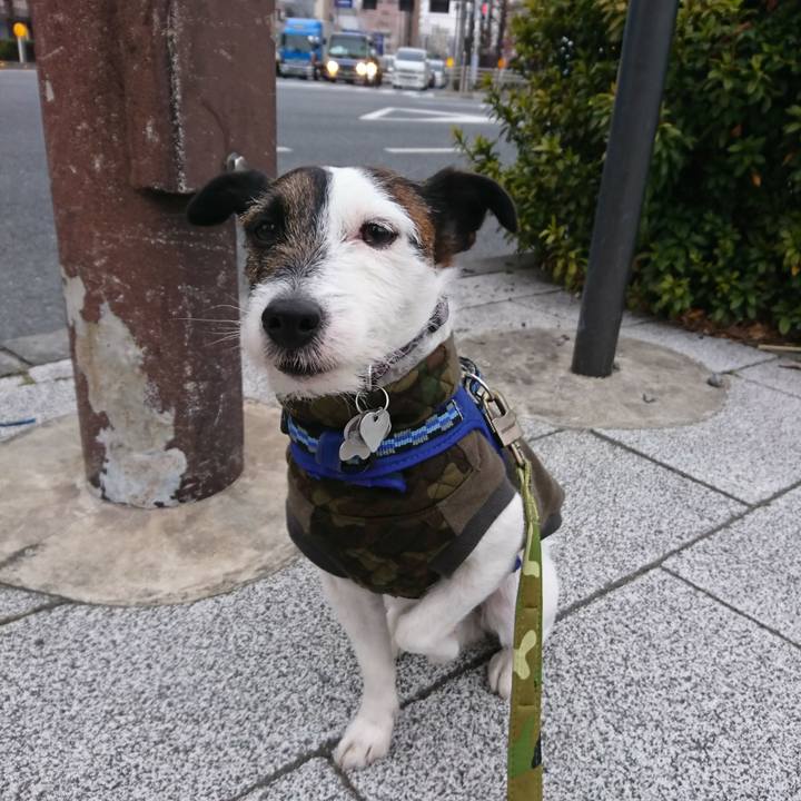 E561ed81 dba0 4fd2 a0d2 cf2998c84c1c 1519164686315