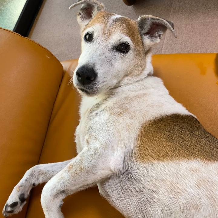 E56220b4 9f86 4d39 b2f7 50918a8aad88 1600675666287