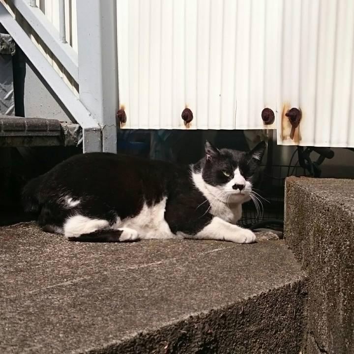 E56238d5 f703 42b4 b695 c6b8a7b8fb95 1520045754819