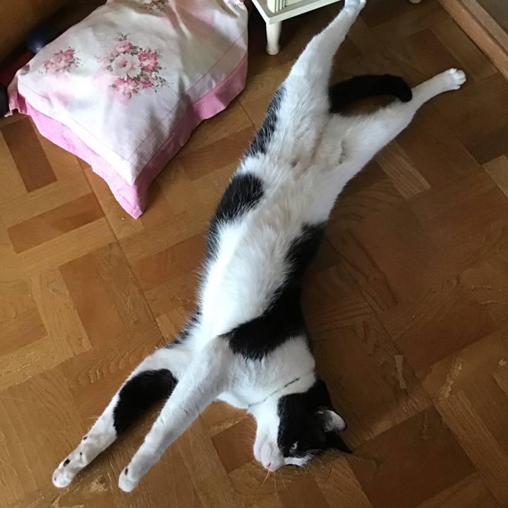 E5625ccd b391 41e6 a2ef b1694ca96a5a 1690630992196