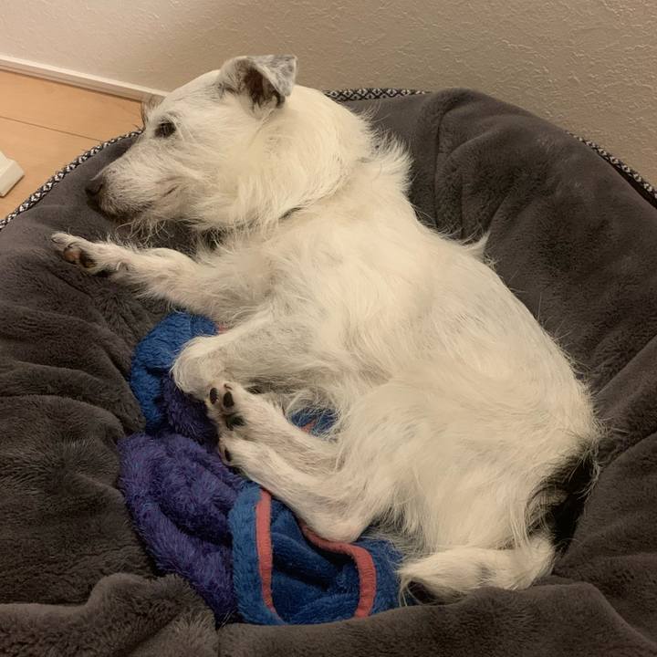 E5625ea3 2661 4047 b3e7 51158e94b1b8 1651586867688