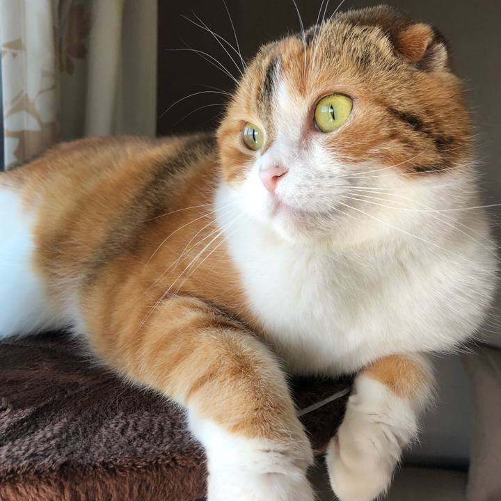 E5625fd1 3cbd 4046 b961 855a11e61392 1556419591344