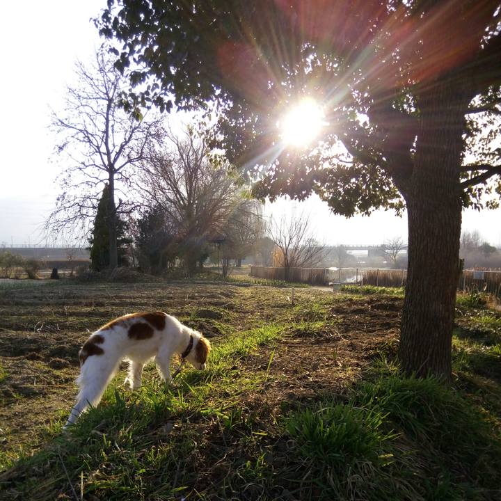 E562c94d 09b4 4f27 b1e1 17d66a6461d0 1519086205178