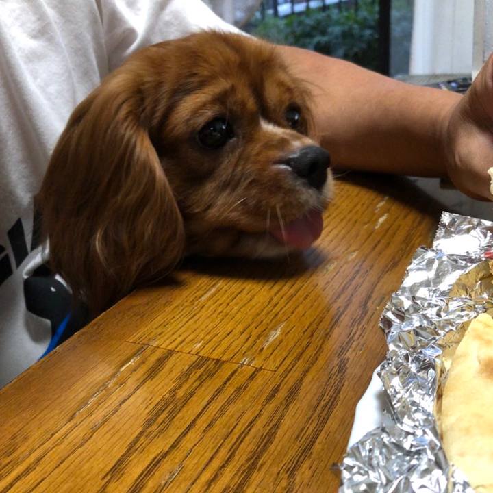 E563100f be5a 4818 85d9 c5aa19e40880 1564268927434