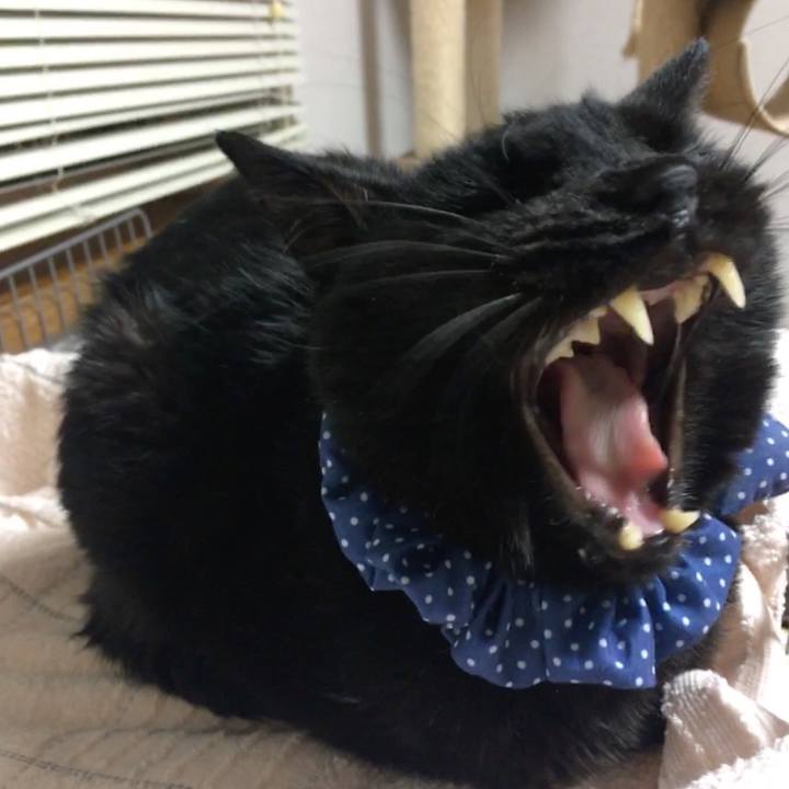 E5631dda aab5 48aa 90d2 6e31c78b23b7 1552300195544