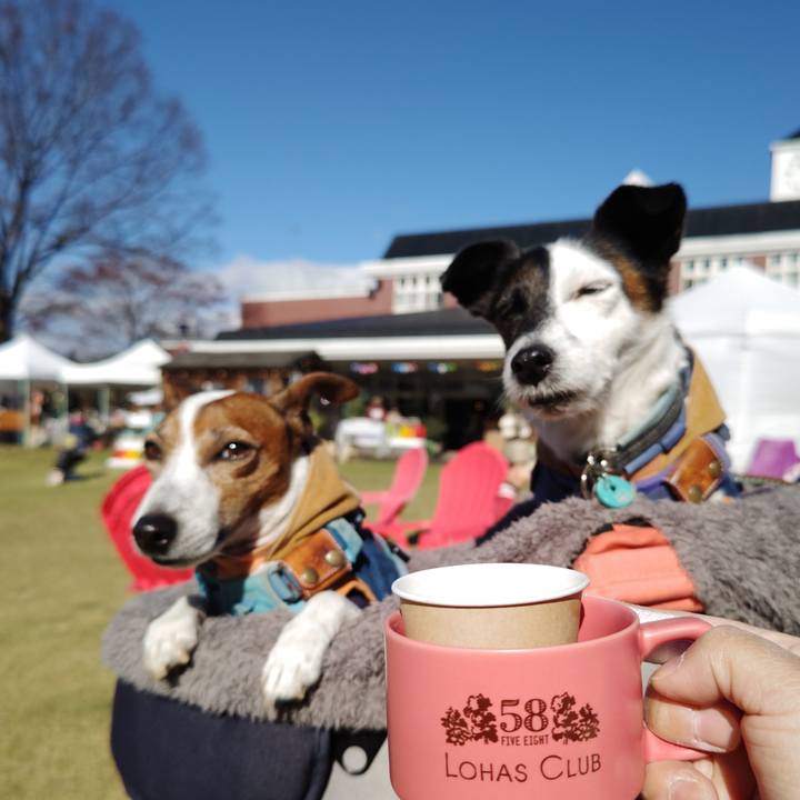 E5632b66 8c61 4e9f b934 d33418958374 1732430346600