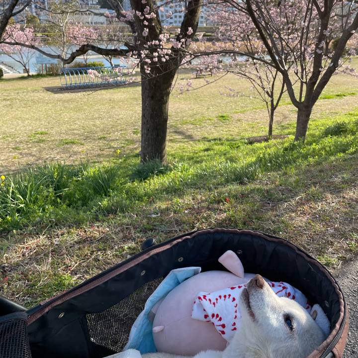 E5636ba3 819f 4cec b3e2 caf67fcfe764 1677752671124