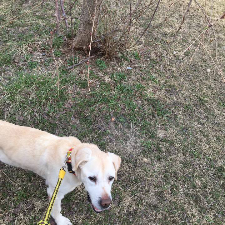 E5636f34 8756 4075 bd2d 029e4526146a 1522566358973