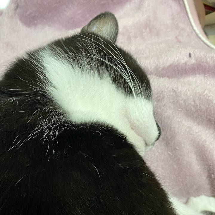 E5636ff8 133c 4173 919c 579c671ad982 1610022939342