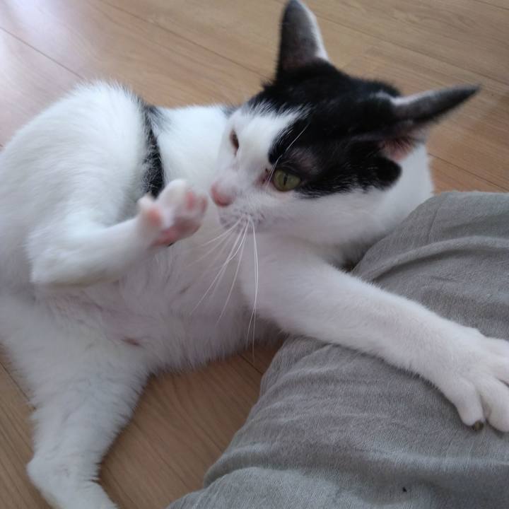 E56374ef 6c0d 442b aeea 5a7de15d3356 1535885342054