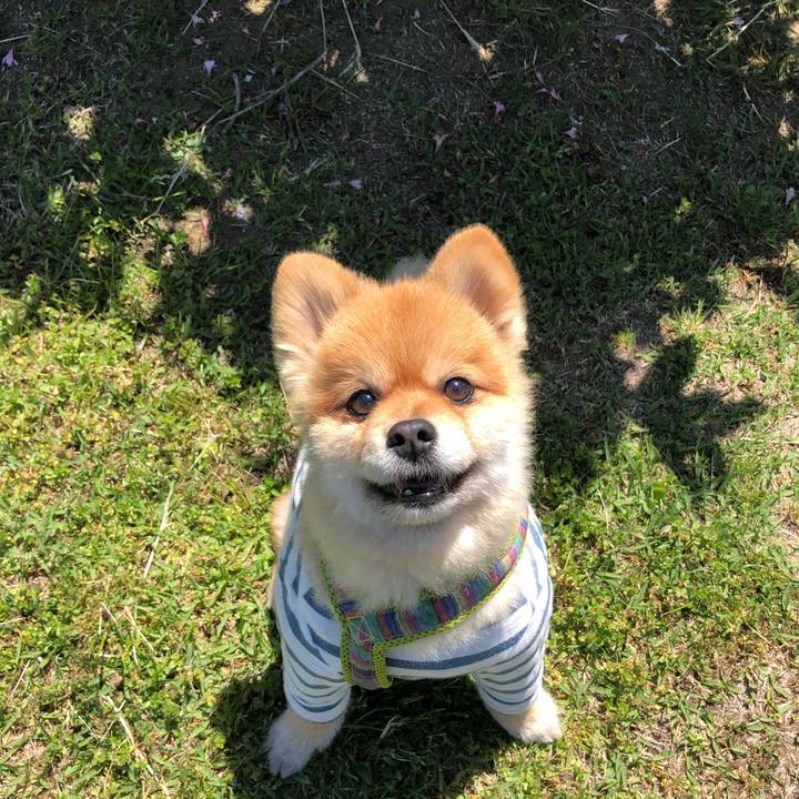 E5637840 0f5e 457f 9b69 90c0491135cb 1619441821040