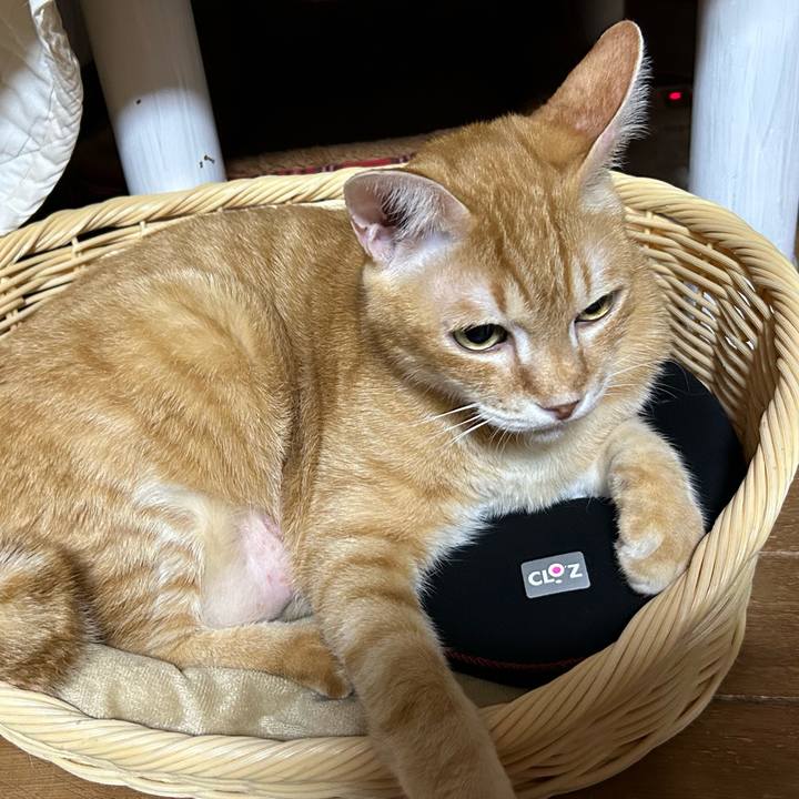 E5638e85 ad14 4b27 94dd 16b47954cafb 1671885314110