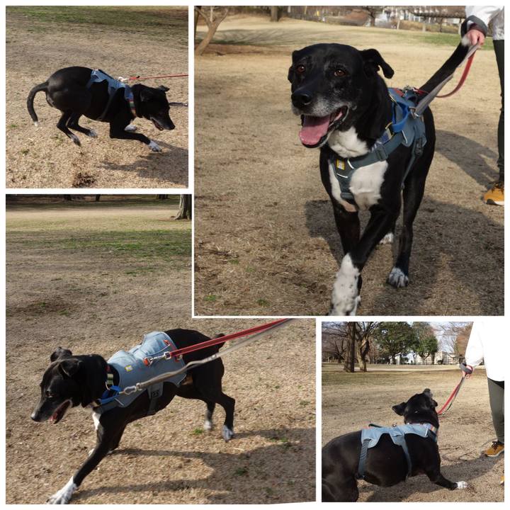 E5639839 70c3 48c9 a3e3 abbcb6c05be6 1741913698808