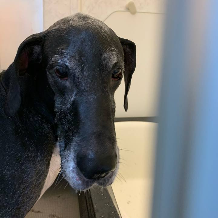 E563ae64 57ec 4a31 8b94 6ec0fa9eb02b 1578042063761