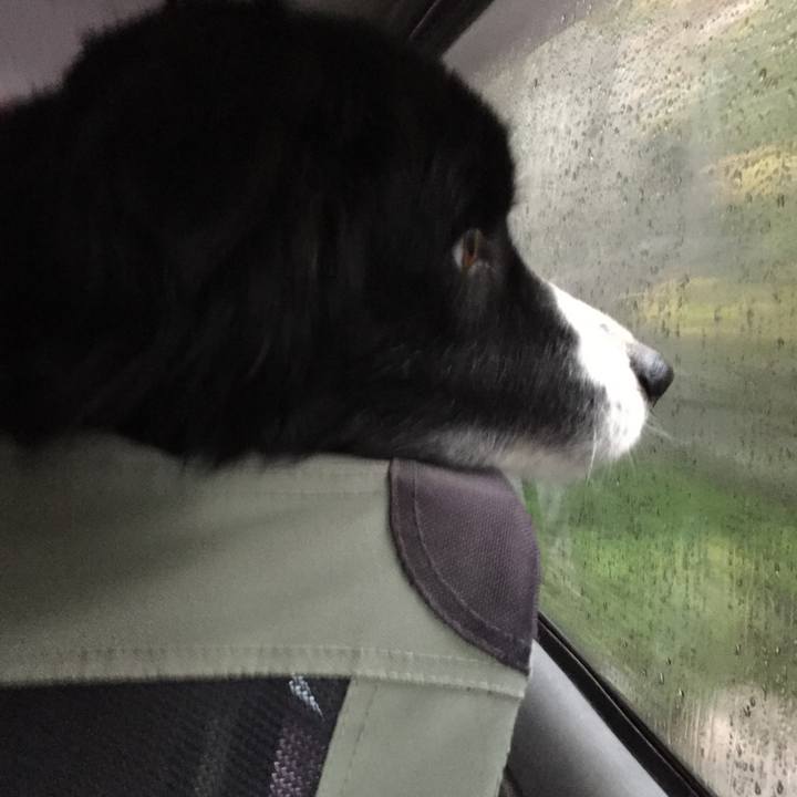 E563c161 ad20 42f9 afae 892946909051 1586642784887