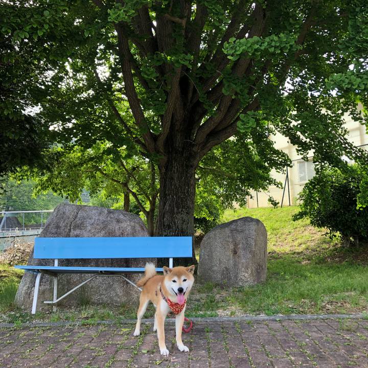 E563dde2 4fc8 44ef 9560 4510178caeac 1559991842906