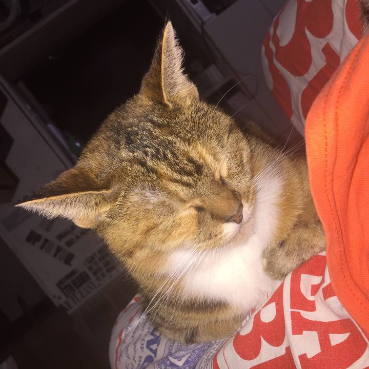 E5641cbb aa6d 44d1 b72b 8c2ab7ba133c 1571460173652