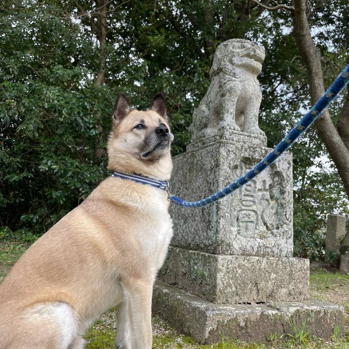 E5643150 f5d5 4d71 befa ec96ceb3e747 1647812268997