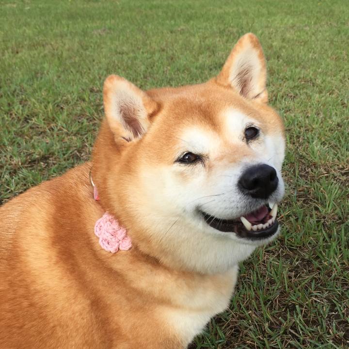 E56445ae cd50 43ef 9dca cf84c36613bc 1602551729429