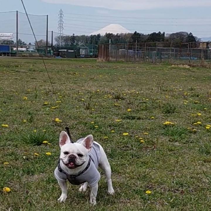 E56445d0 8020 4fcd 982e d7a1eee45f3b 1649367495417