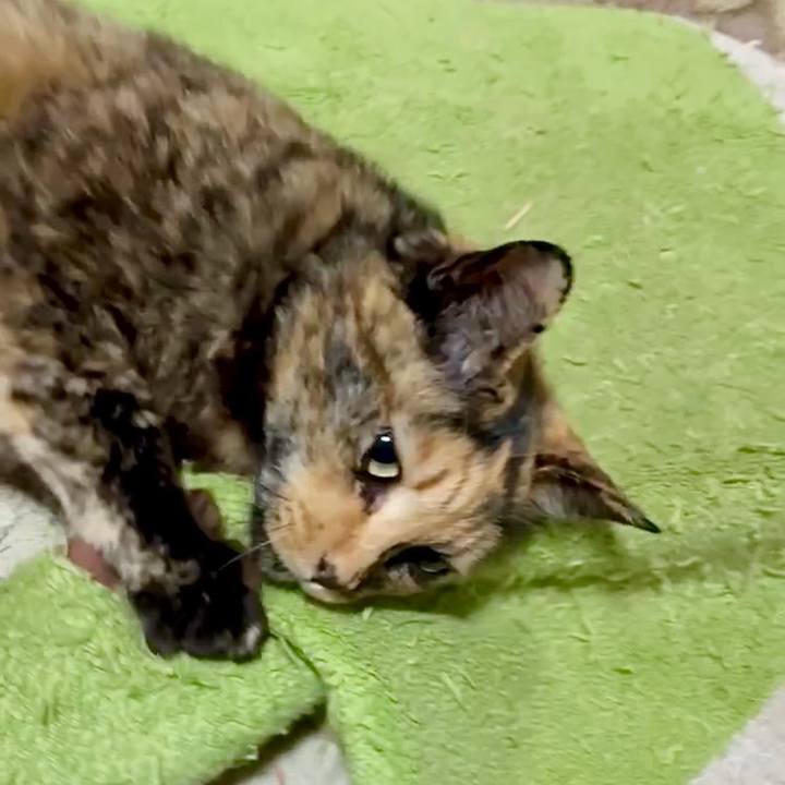 E5644b6d 5d1a 43b9 a8c2 5dd07167e2ec 1744663054641