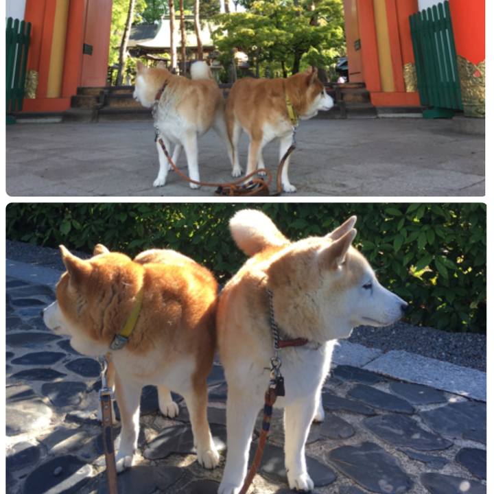 E564c1b5 d3fc 46d0 b1e3 20977957fd1f 1527125053848